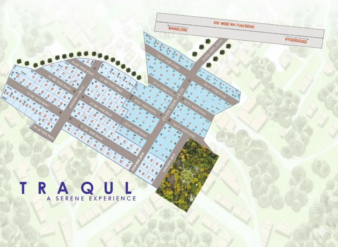 Layout Plan